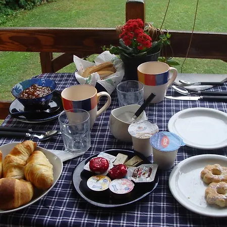 Forest View Bed & Breakfast Gavi