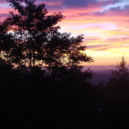 Forest View Bed & Breakfast Gavi