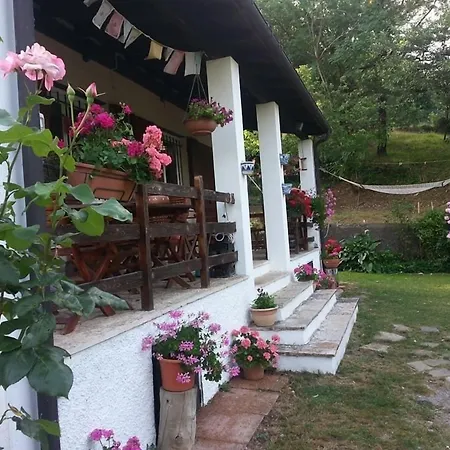 Forest View Oda ve Kahvaltı Gavi