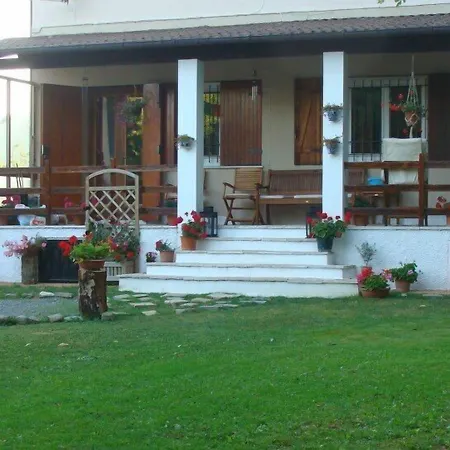 Forest View Oda ve Kahvaltı *
